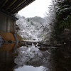雪化粧