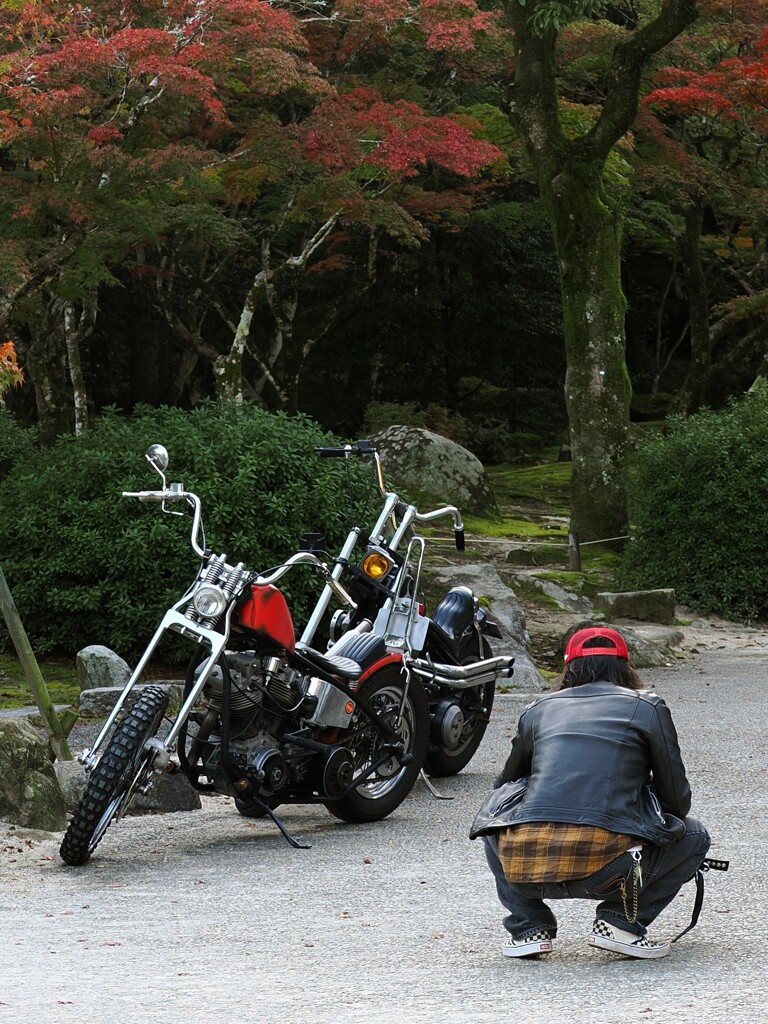 カッコ良いですね