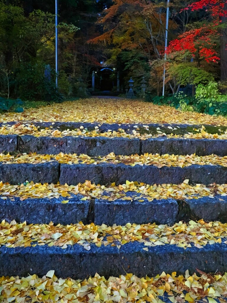 黄色いカーペット