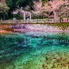 神秘的