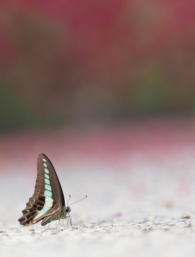 給水