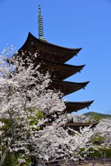 青い空