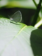 日向ぼっこ