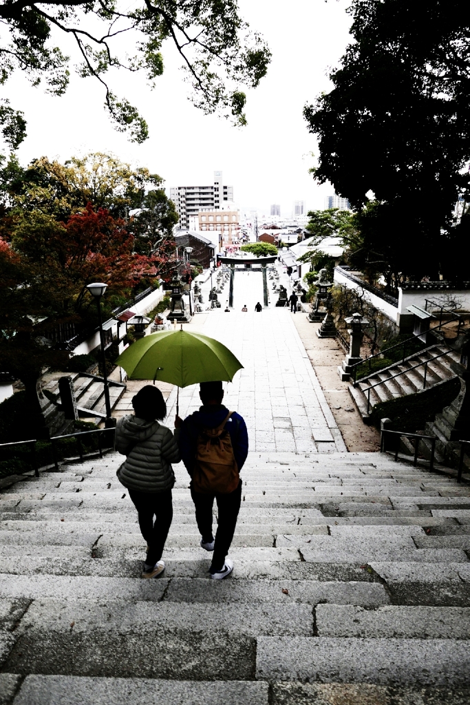 雨降ってきたね