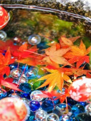 秋の花手水