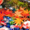 秋の花手水