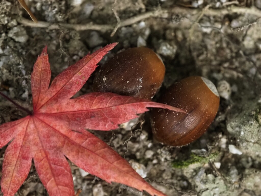 仲良し