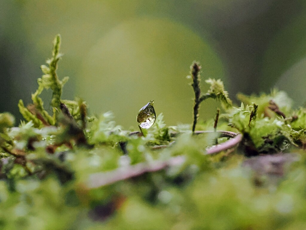 一雫