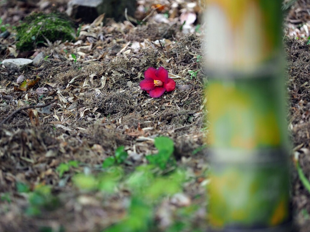 静か