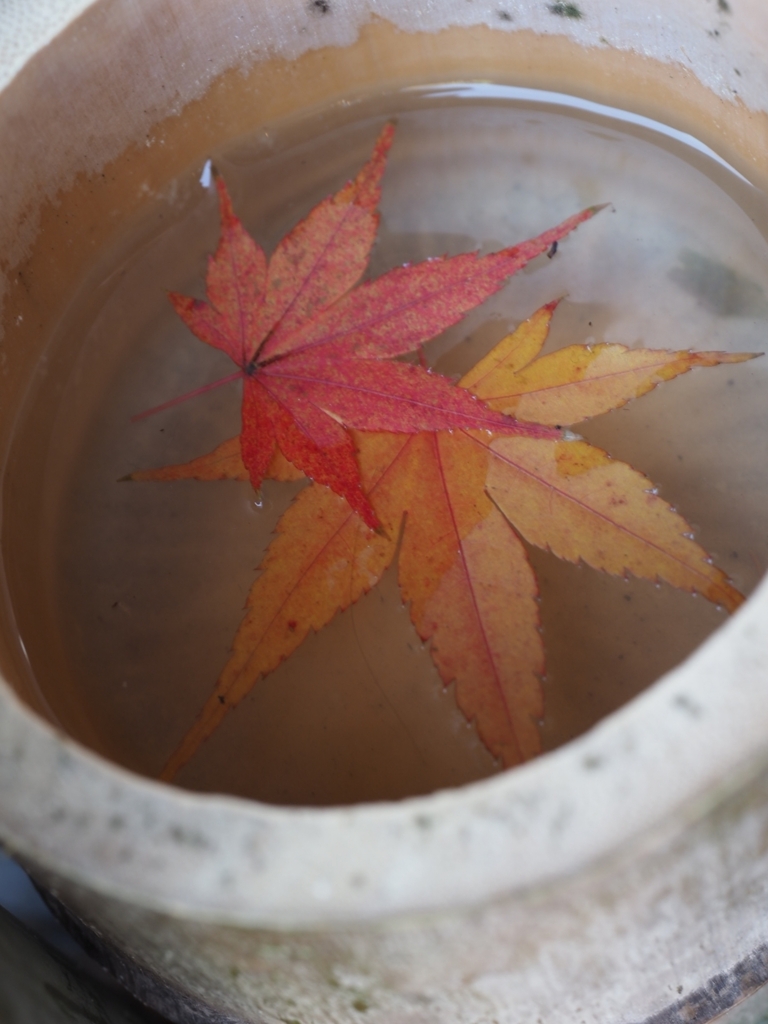 小さな花手水