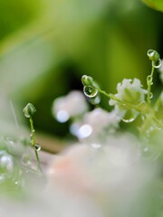 水滴