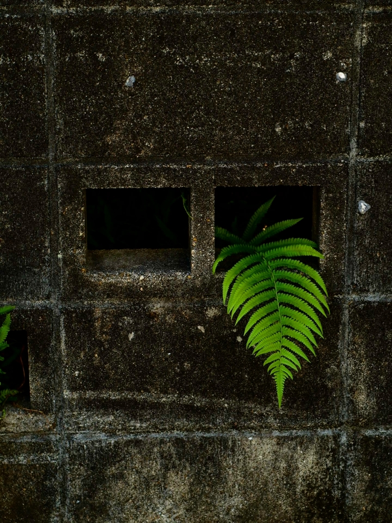 こんにちは