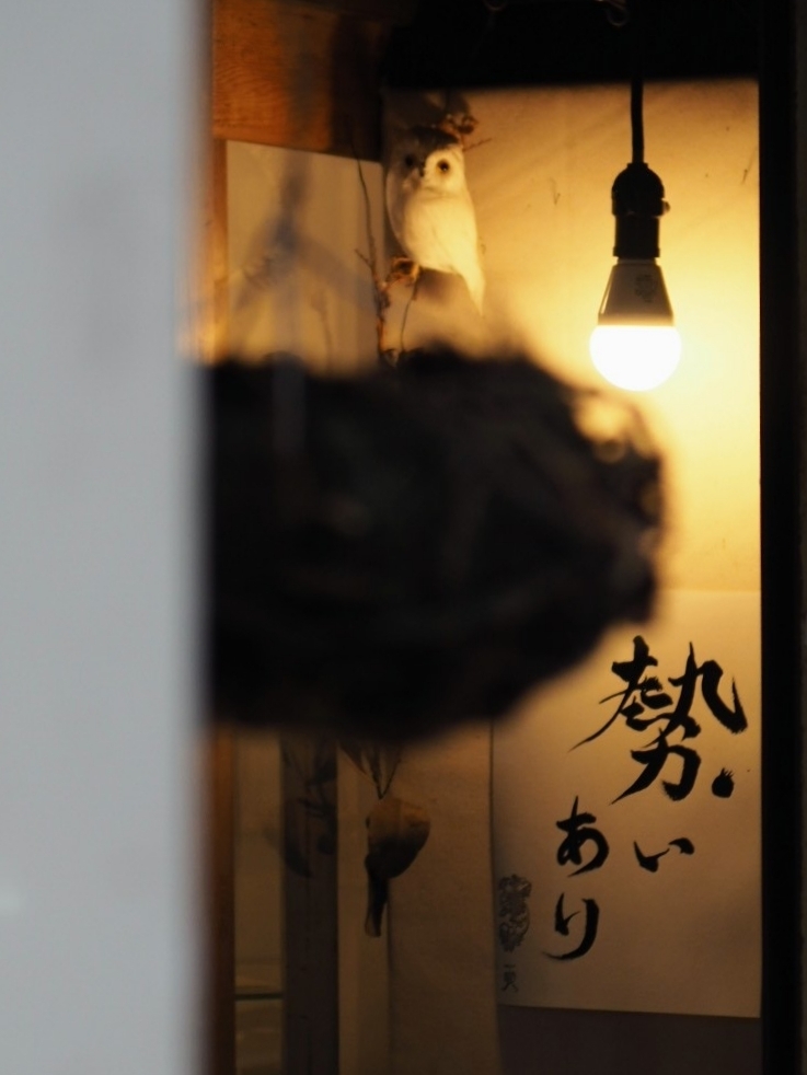 勢いあり