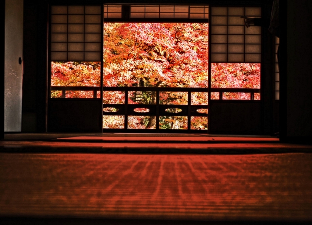 畳まで真っ赤