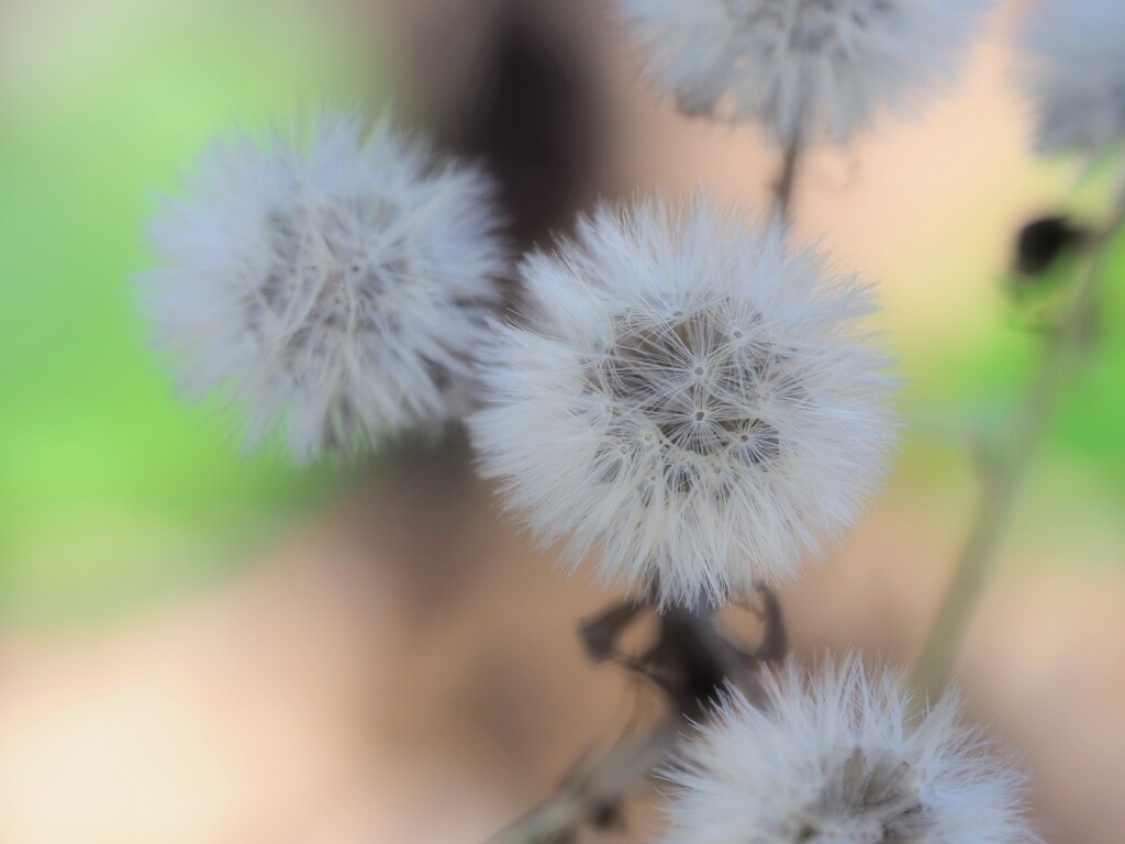 …