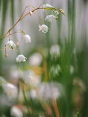 雨上がり
