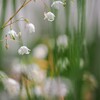 雨上がり