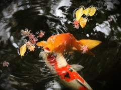 お腹すいたよ〜