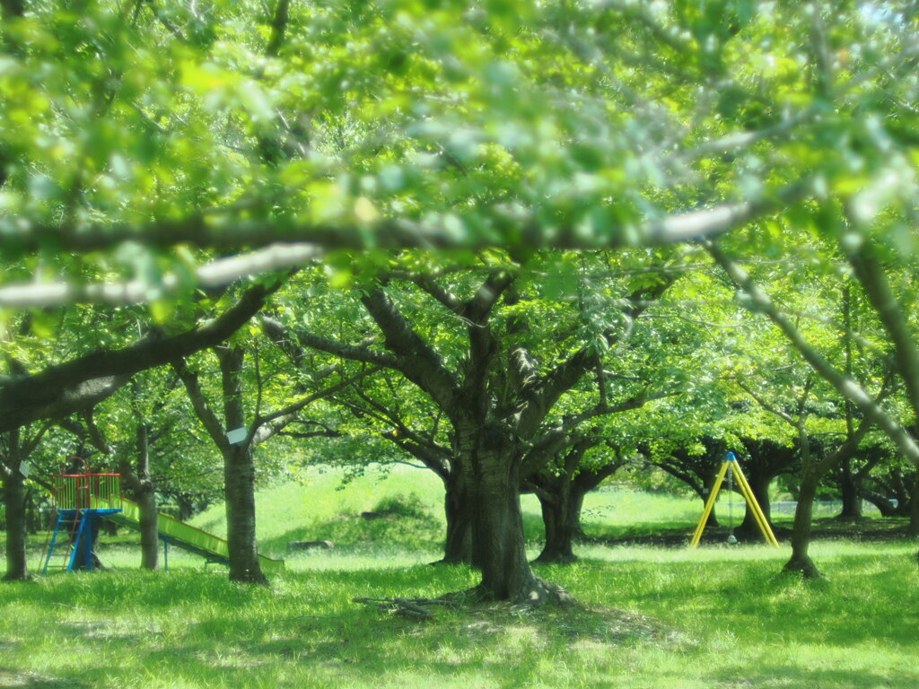 緑色の公園の遊具たち