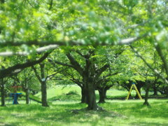 緑色の公園の遊具たち