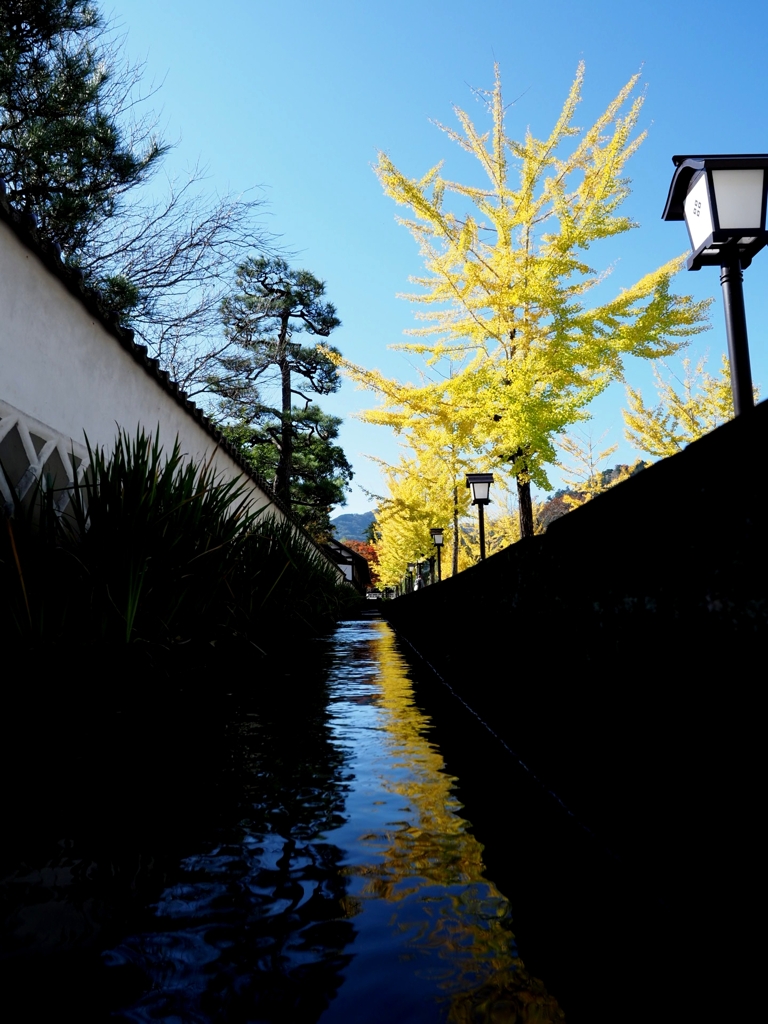 青い水路