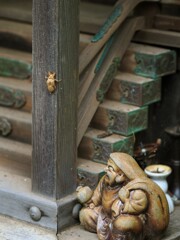 夏の小さな忘れ物