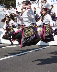 よさこい