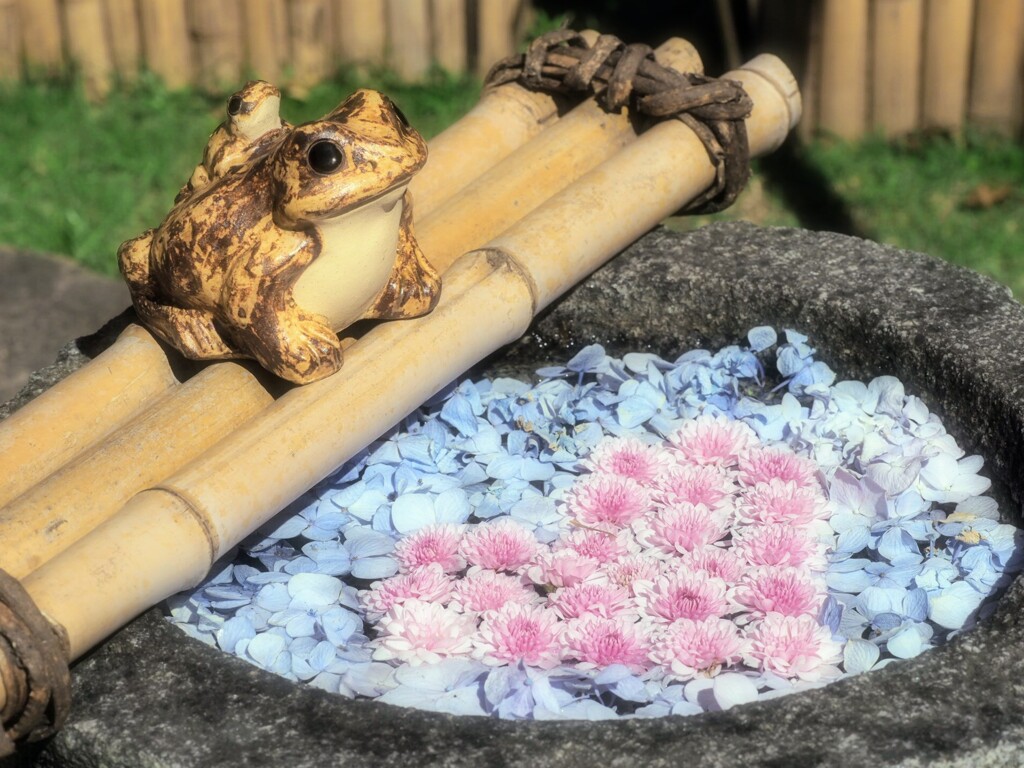 …