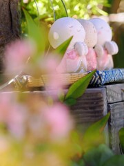 気持ち良い季節