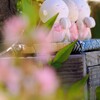 気持ち良い季節