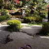 庭園