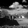 冬の公園
