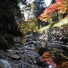山奥で