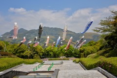今日は暑い1日だった。