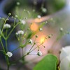 小さな灯り