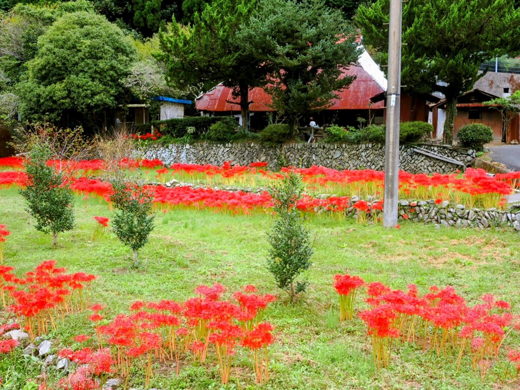 田舎道で
