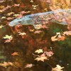 紅葉狩り