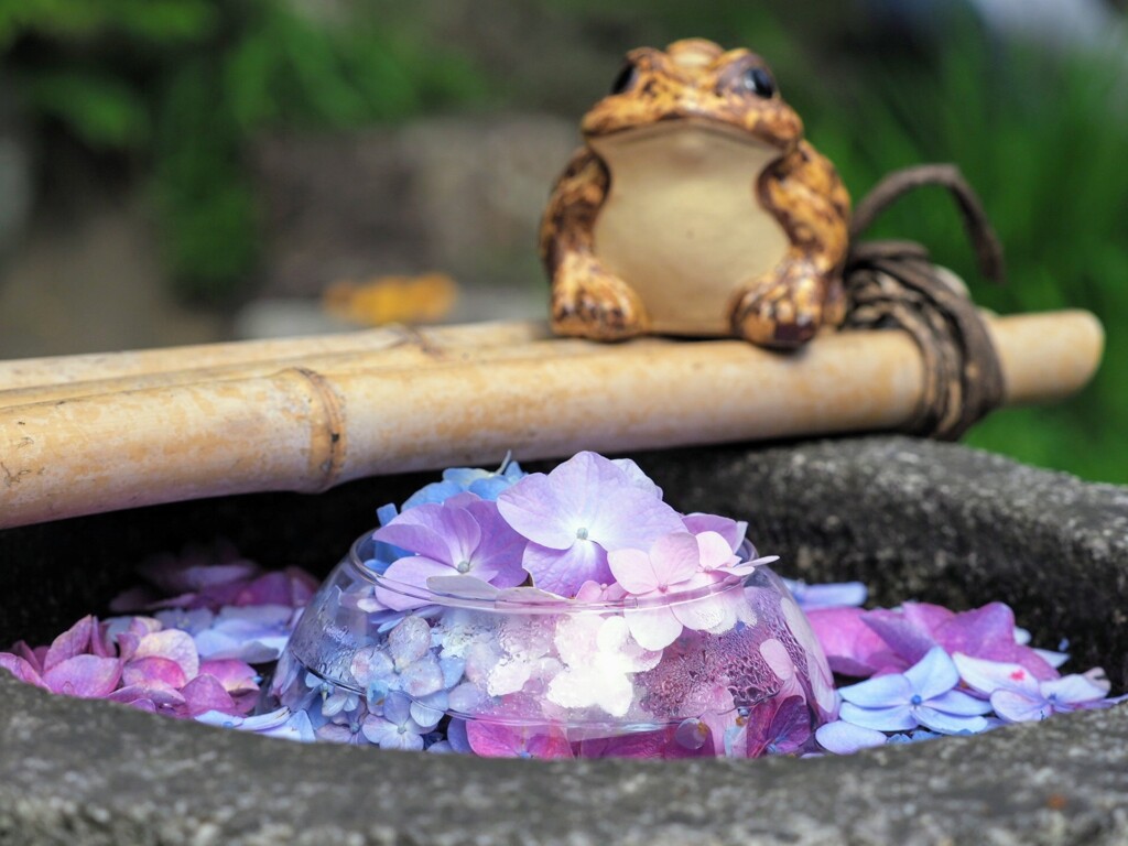 …