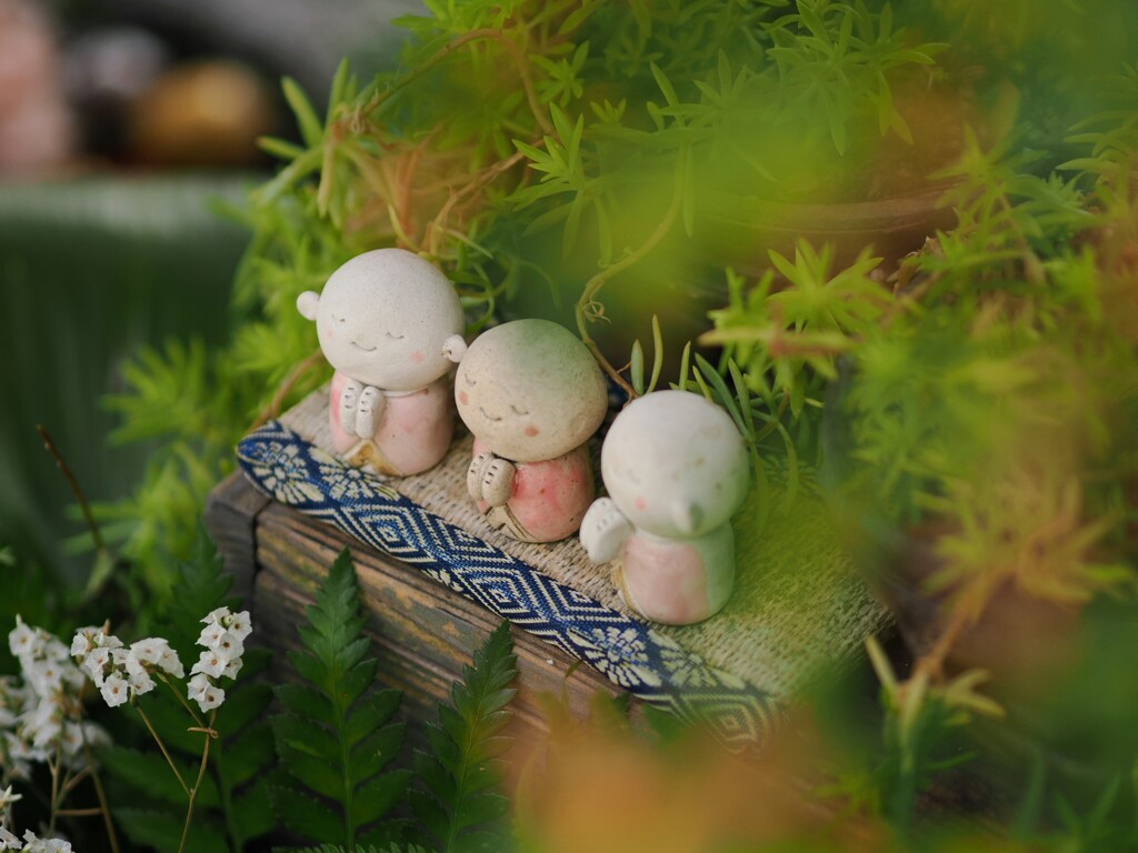 今年もあと少しですね