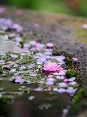 雨上がり