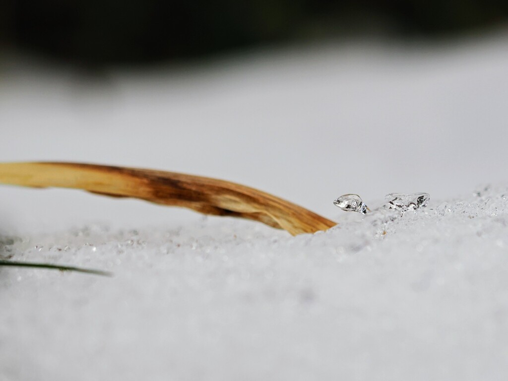 氷