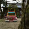 洗車してください