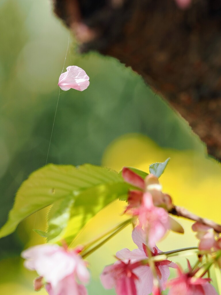 捕まってしまった