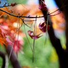 天気干し