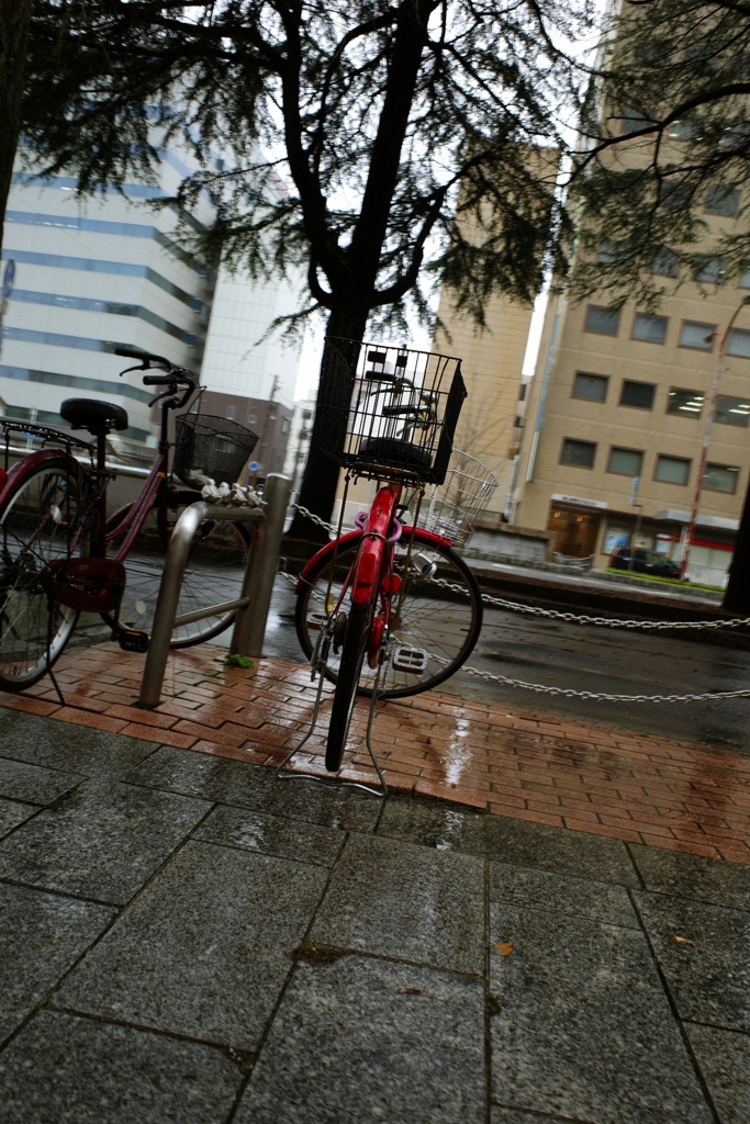 雨