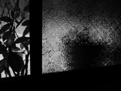 フローラガラス