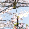 良い天気だぁ～