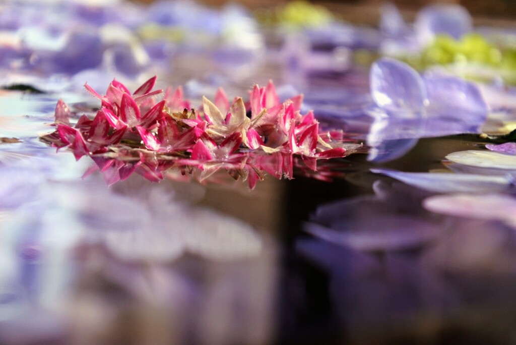 花手水
