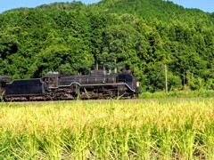 もうすぐ実り