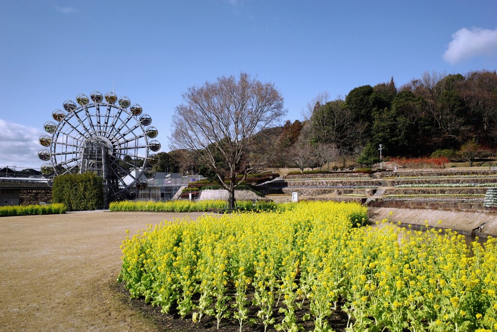 春は、まだだね